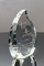 Atlantis Crystal Flame Commemorative Award