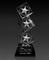 Climbing Star Crystal Trophy (CT-552)