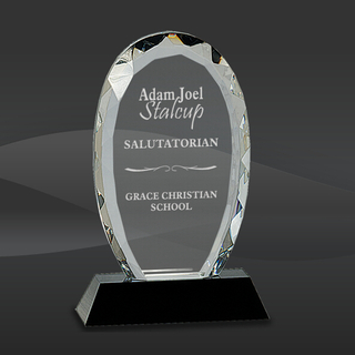 Diamond Cut Crystal Oval Award (J-CRY019S)