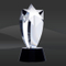 Round Star Crystal Award (TM-C364BR)