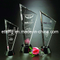 Invincible Black Glass Award (CA-1148)