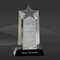 Crystal Rising Star Award (J-CRY010S, J-CRY010L)