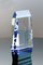Cerulean Crystal Tower Award
