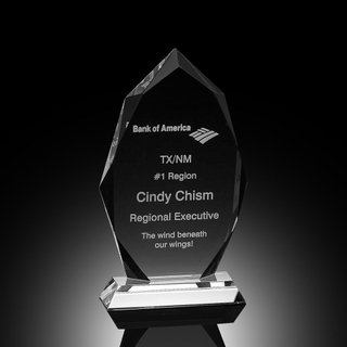 Transform Crystal Award (#1095)