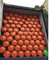 LPG Gas Cylinder