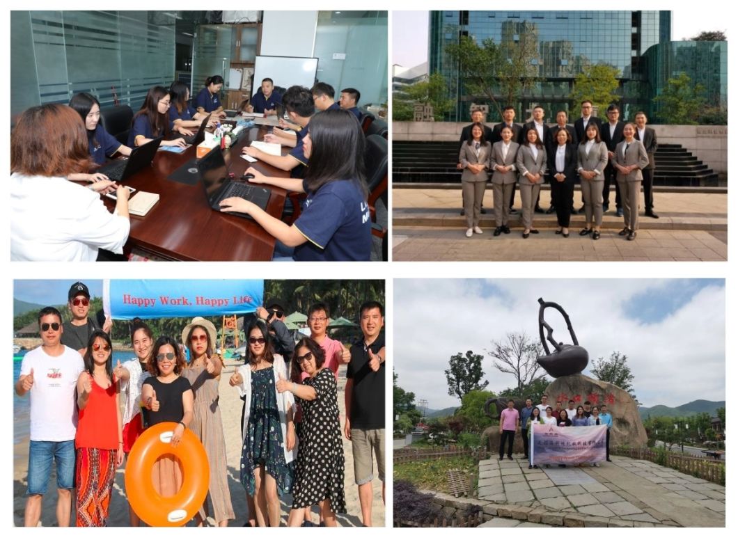 High Quality 201 / 304 / 316 Stainless Steel Strip Coil