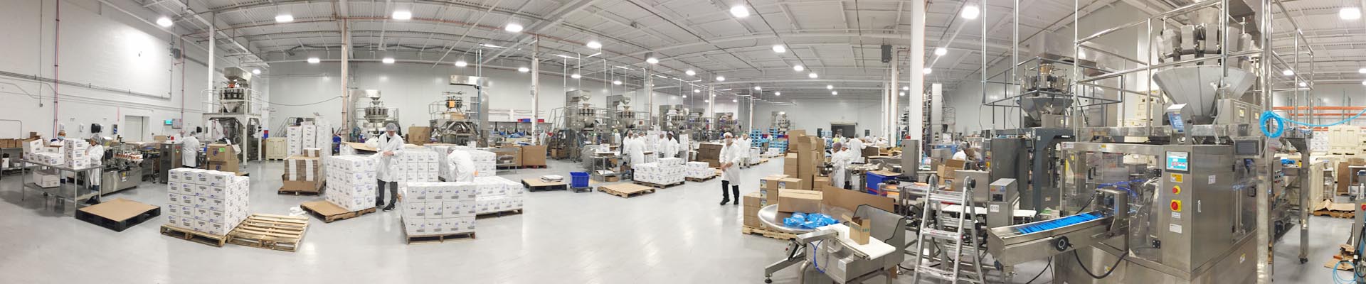 pouch packing line 2019