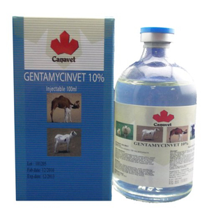 GENTAMYCINVET 10%