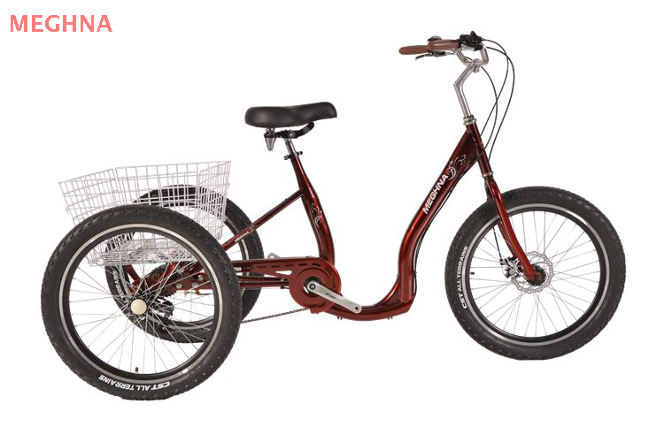 24TR024 TRICYCLE WITH CARGO