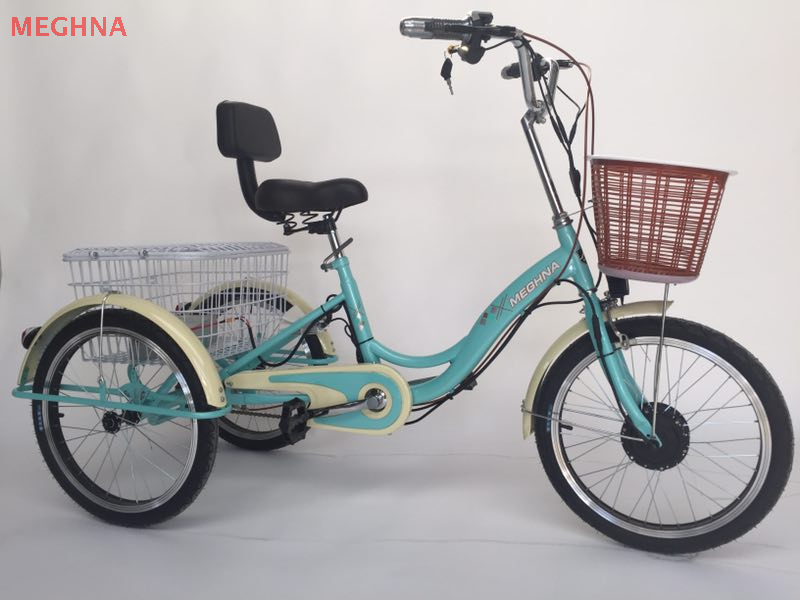 20TR015E E-TRICYCLE