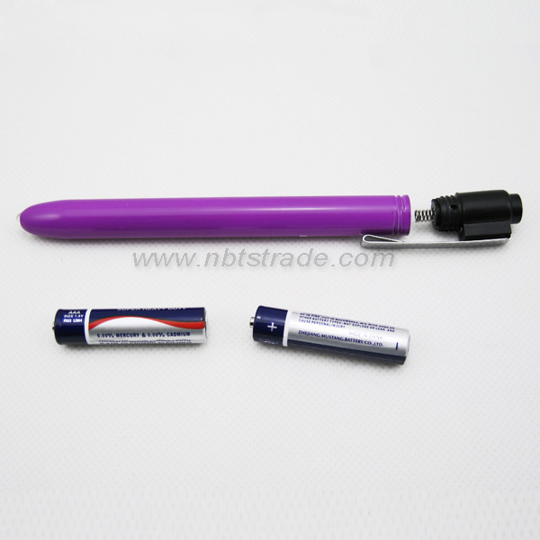 2 AAA LED Penlight with Clip 