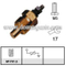 Water Temperature Sensor
