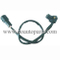 Crankshaft Postion Sensor