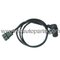 Crankshaft Postion Sensor