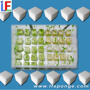 Soilless water Cultivation Sponges