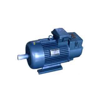 Motor for Electric Hoist