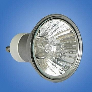 LED Sports Light