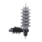 Surge Arrester Yh10W-60