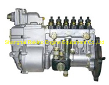 BP20012 612601080753 LONGBENG Fuel injection pump for Weichai WP10 generator 
