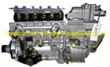 BP1239 13023586 Longbeng fuel injection pump for Weichai TBD226B-6C