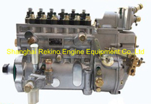 BP1243 13025168 Longbeng fuel injection pump for Weichai Deutz TBD226B-6C
