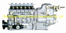 BP6617 616067150000 Longbeng fuel injection pump for Weichai 6160A