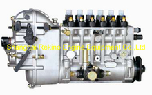 BP6613 616067130000 Longbeng fuel injection pump for Weichai R6160ZC250-1