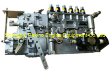 BP3040 612600081014 Longbeng fuel injection pump for Weichai WD615.67