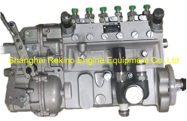 13020436 10402376154 BYC fuel injection pump for Weichai TBD226B-6 (WP6D)