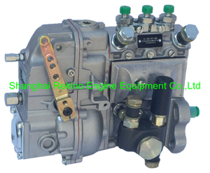 2232414KY 10400873001 BYC fuel injection pump for Deutz F3L912 24KW 