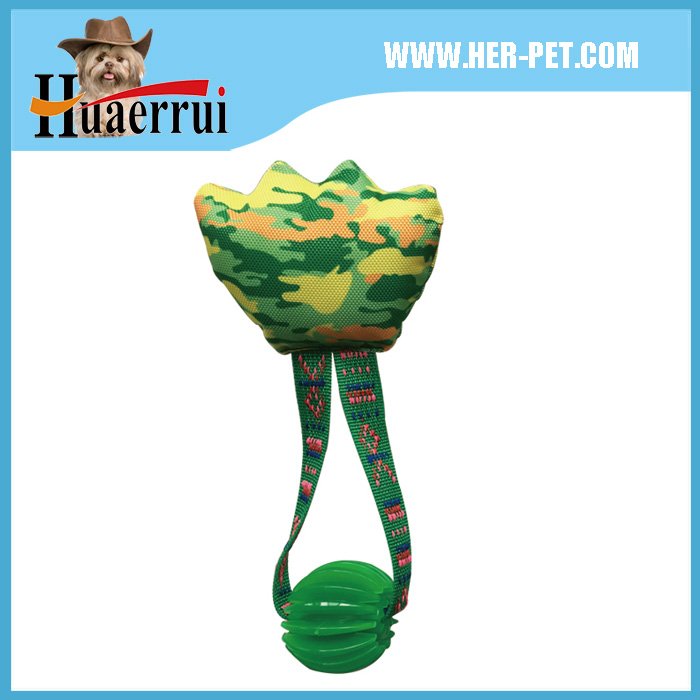 dog toy plush ball