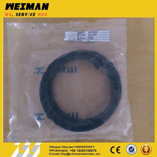 Sdlg LG936L Frame Oil Seal Hg4-692-Pd130*160*12, Skeleton Oil Seal 4030000046/ 4030000048 for LG936L Final Drive Assembly