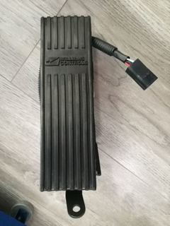 4130001081 Electron Accelerator Pedal Wl400244