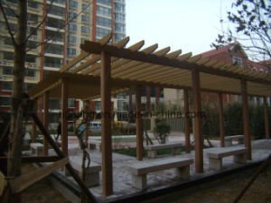 Compos&eacute; en plastique en bois de la cavit&eacute; WPC d'&eacute;tage en plastique en bois ext&eacute;rieur neuf de Decking
