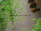 &Eacute;tage en plastique en bois de Decking du compos&eacute; WPC de couleur normale pour le jardin