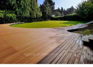 Rev&ecirc;tement en bois ext&eacute;rieur de mur de PE/panneau int&eacute;rieur du plancher WPC de Decrotive