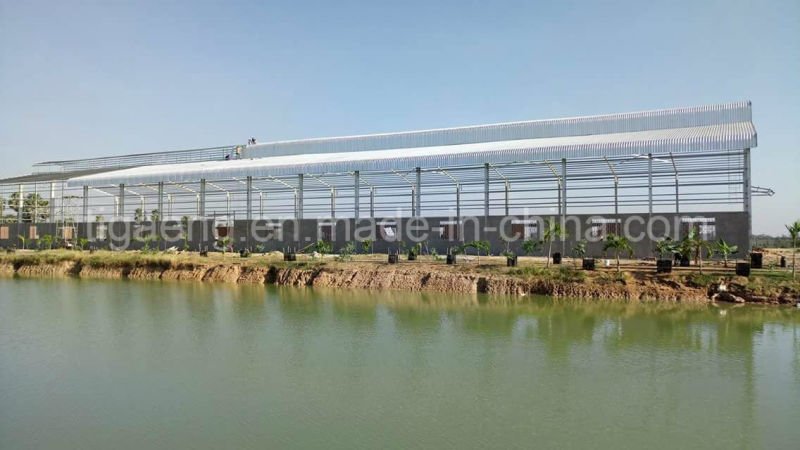 Low Cost Heavy Steel Structure Supermarket/Large Temporary Office for Egypt