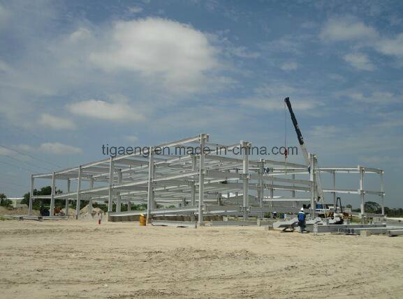 Steel Warehouse Structure Buildings Layout Design