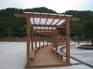 Jard&iacute;n decorativo reanudable Pavillion de la instalaci&oacute;n de la prueba f&aacute;cil WPC de la termita