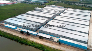 Steel Structure Metal Structure Building Prefab Steel Shed