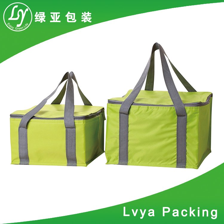 custom polyester non woven cans thermal frozen food lunch insulated cooler bag