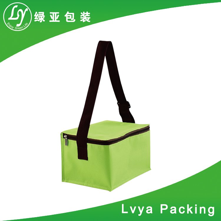 6 pack insulated cooler bag