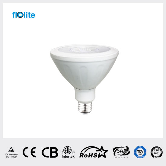 PAR30 LED Dimming Bulb