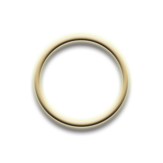 O ring