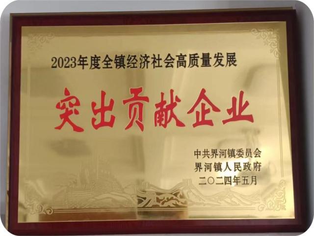 Highlighting contribution corporate medals