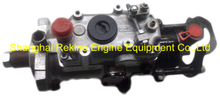 3230F575T 2643B317MY 2643B317 Delphi Perkins Fuel injection pump for 1103C