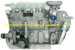 13053063 B6AD548G-R Weichai Nanyue NYC fuel injection pump