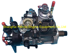 9320A535H 2644H509LT 2644H509 Delphi Perkins Fuel injection pump