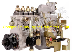 D10LD-1111100A-493R B4PN98N 1FQJ00-1111100-493 NYC Nanyue Yuchai fuel injection pump