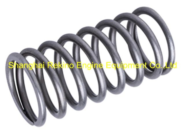 L28.200003 plunger spring Zichai engine parts L250 LB250 LC250